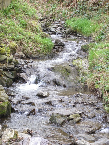 EAU - Ruisseau